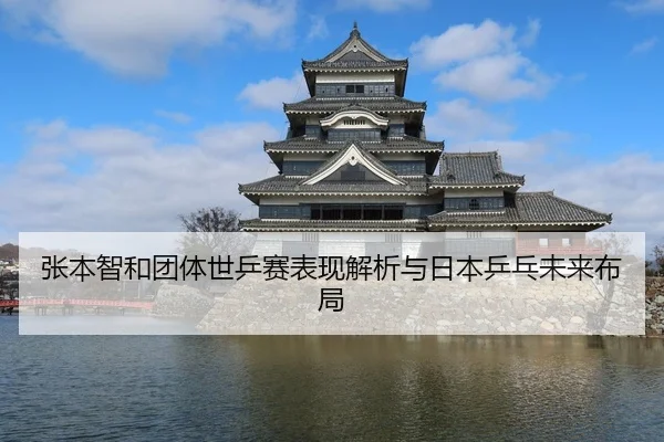 张本智和团体世乒赛表现解析与日本乒乓未来布局